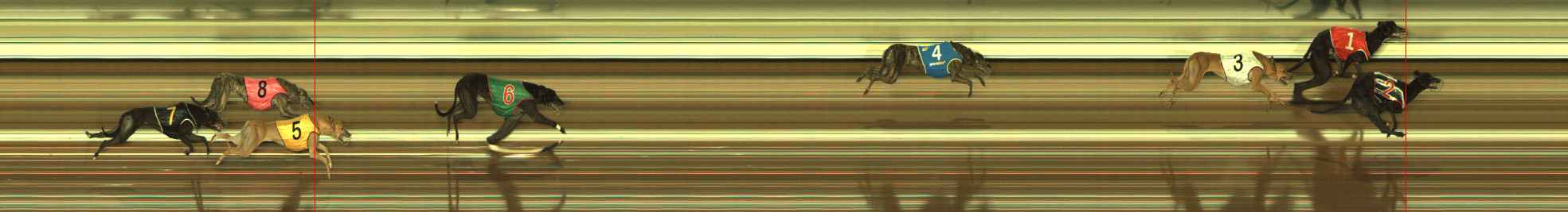 Race result finish photo